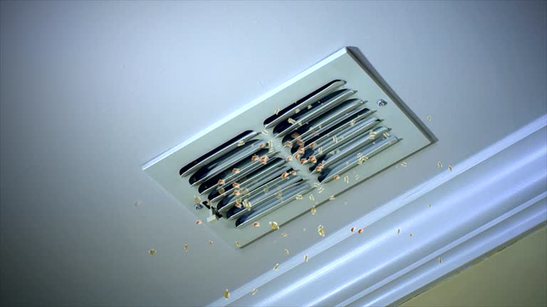 Best Affordable Air Duct Cleaning  in Elwood, IN